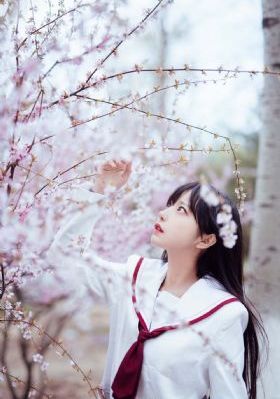 柯南中文版_BD国语在线观看高清