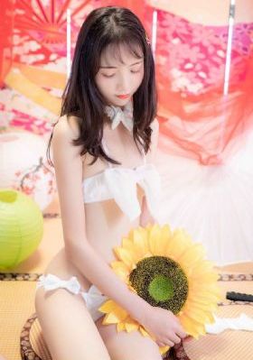包青天95版全集免费观看_免费高清观看